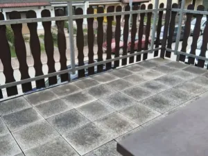 Pronájem bytu 2+1, České Budějovice - České Budějovice 1, Palmová, 72 m2