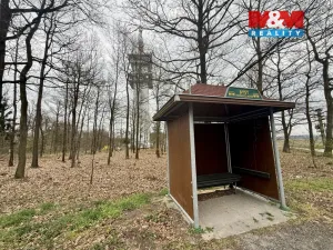 Prodej lesa, Býšť, 3807 m2