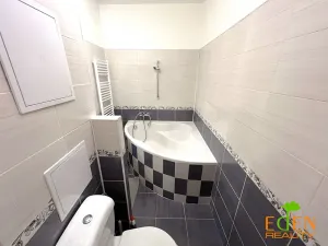 Pronájem bytu 1+1, Třemošná, Sídliště, 48 m2