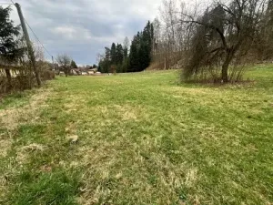 Prodej pozemku pro bydlení, Horní Olešnice, 2510 m2