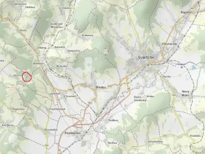 Prodej lesa, Zborov, 6700 m2