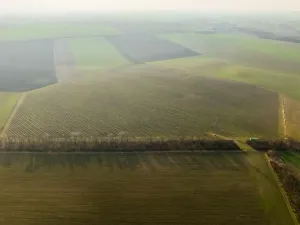 Prodej sadu/vinice, Troskotovice, 243931 m2