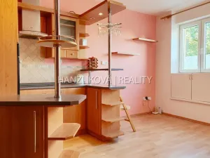 Pronájem bytu 1+1, České Budějovice - České Budějovice 3, Rudolfovská tř., 35 m2