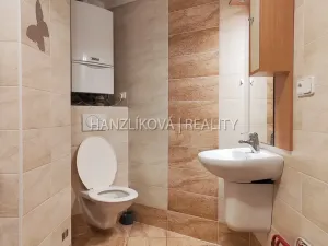 Pronájem bytu 1+1, České Budějovice - České Budějovice 3, Rudolfovská tř., 35 m2