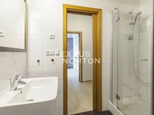 Pronájem bytu 1+kk, Praha - Bubeneč, Mlýnská, 37 m2