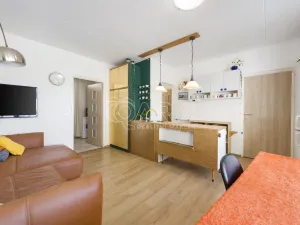 Prodej bytu 5+1, Brno - Židenice, Bořetická, 97 m2