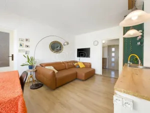 Prodej bytu 5+1, Brno - Židenice, Bořetická, 97 m2