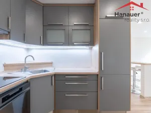 Pronájem bytu 2+kk, Chlumec, Alejní, 48 m2