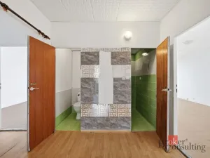 Prodej bytu 4+kk, Litvínov - Janov, Luční, 85 m2