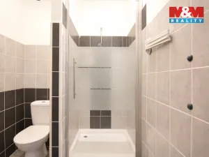 Pronájem bytu 1+kk, Šestajovice, Komenského, 29 m2
