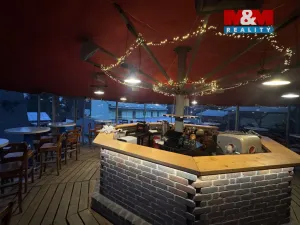 Prodej ubytování, Čenkovice, 297 m2