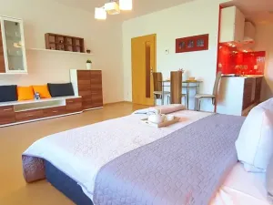 Pronájem bytu 1+kk, Brno, Šemberova, 51 m2