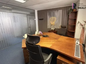 Pronájem kanceláře, Brno - Zábrdovice, Příkop, 16 m2