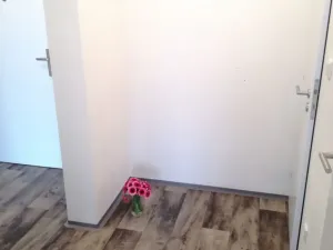 Pronájem bytu 2+kk, Ostrava - Dubina, Antonína Poledníka, 44 m2