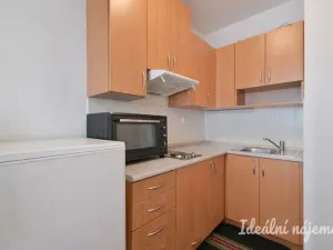 Pronájem bytu 1+kk, Brno - Zábrdovice, Francouzská, 30 m2