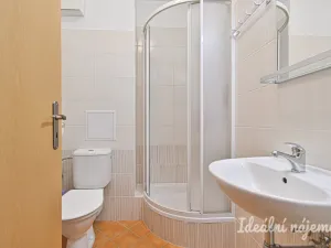 Pronájem bytu 1+kk, Brno - Zábrdovice, Francouzská, 30 m2