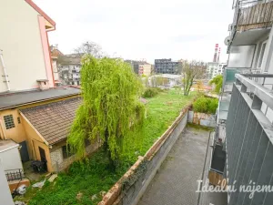 Pronájem bytu 1+kk, Brno - Zábrdovice, Francouzská, 30 m2