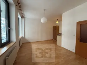 Pronájem bytu 2+kk, Praha - Holešovice, V háji, 44 m2