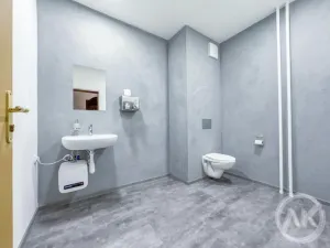 Pronájem kanceláře, Ostrava - Přívoz, Libušina, 34 m2