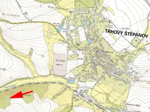 Prodej lesa, Trhový Štěpánov, 1133 m2