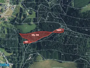 Prodej lesa, Strážná, 14738 m2
