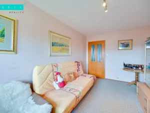 Prodej rodinného domu, Senice na Hané, Hliníky, 1063 m2