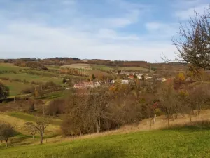 Prodej zahrady, Soběchleby, 1872 m2