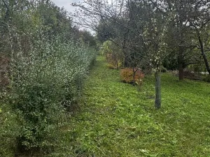 Prodej zahrady, Soběchleby, 1872 m2