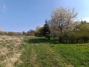 Prodej zahrady, Soběchleby, 1872 m2