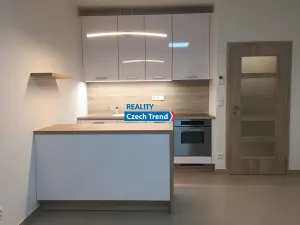 Pronájem bytu 1+kk, Olomouc, Čajkovského, 30 m2