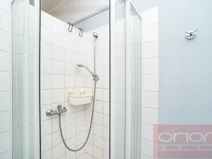 Pronájem bytu 3+kk, Praha - Vinohrady, Italská, 128 m2