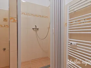 Prodej bytu 1+1, Nížkovice, 35 m2