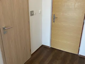 Pronájem bytu 1+1, Plzeň - Bolevec, Žlutická, 39 m2