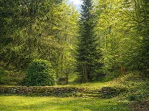 Prodej bytu 3+kk, Karlovy Vary, Křižíkova, 86 m2