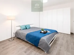 Pronájem bytu 2+kk, Plzeň, Guldenerova, 43 m2