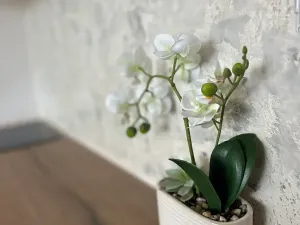 Prodej bytu 1+kk, Karlovy Vary, Fibichova, 19 m2