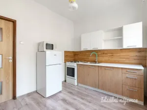 Pronájem bytu 2+1, Praha - Žižkov, Malešická, 59 m2