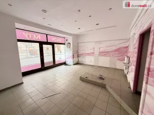 Pronájem obchodního prostoru, Slaný, Palackého, 20 m2