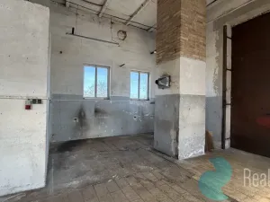 Pronájem komerční nemovitosti, Kamenný Újezd, 100 m2