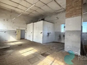 Pronájem komerční nemovitosti, Kamenný Újezd, 100 m2