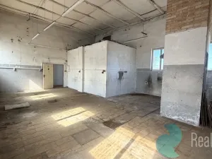 Pronájem komerční nemovitosti, Kamenný Újezd, 100 m2