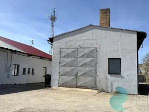 Pronájem komerční nemovitosti, Kamenný Újezd, 100 m2