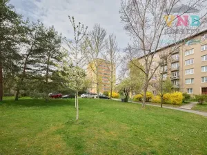 Prodej bytu 3+kk, Praha - Žižkov, Hartigova, 53 m2