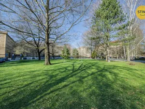 Prodej bytu 3+kk, Ostrava, Komenského, 64 m2