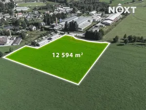 Prodej komerčního pozemku, Horní Planá, 12594 m2