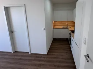 Pronájem bytu 1+kk, Praha - Dolní Měcholupy, Honzíkova, 41 m2