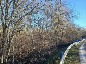 Dražba pozemku, Mladeč, 31766 m2