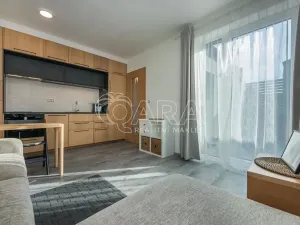 Pronájem bytu 1+kk, Praha - Chodov, Švabinského, 25 m2