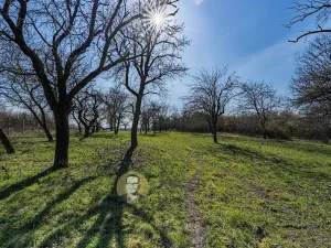 Prodej rodinného domu, Střemy, 100 m2