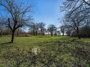 Prodej pozemku pro bydlení, Střemy, 3158 m2